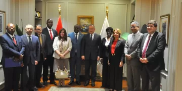 Egypt, DR Congo expand higher education links