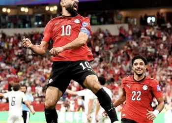 UAE Ambassador hails Egypt W. Cup triumph