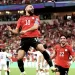 UAE Ambassador hails Egypt W. Cup triumph