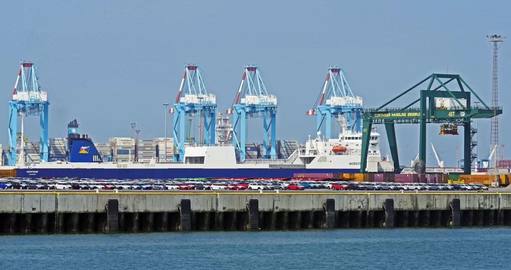 Egyptian port inspectors halt tampered VIN influx from Gulf free zones1