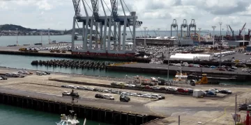 Egyptian port inspectors halt tampered VIN influx from Gulf free zones2