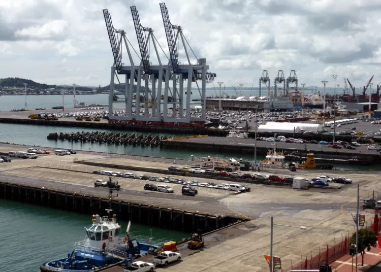 Egyptian port inspectors halt tampered VIN influx from Gulf free zones2