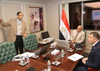 Egypt reviews security measures at El Dabaa N. Power Plant