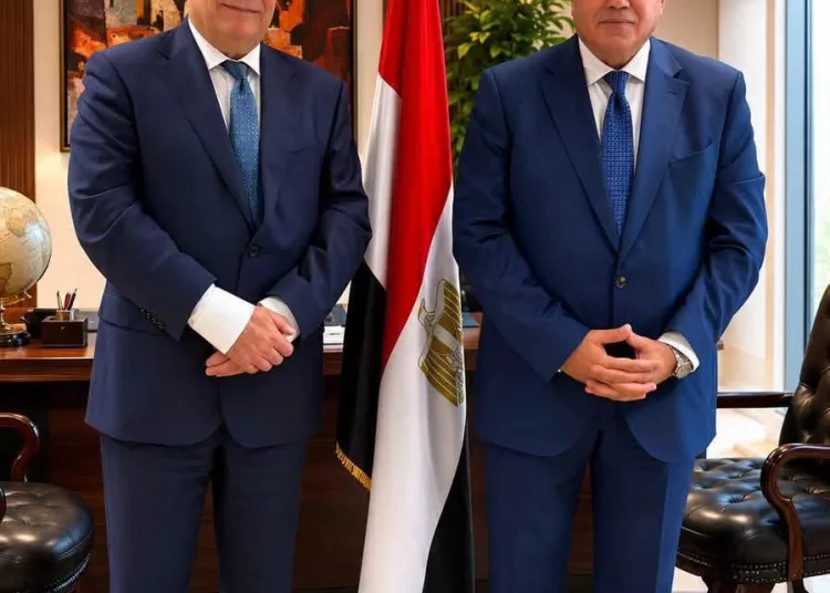 Egypt, Sweden enhance co-operation in intellectual property protection 12 - Egyptian Gazette