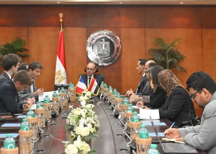 Egypt, France eye more investment partnerships 10 - Egyptian Gazette