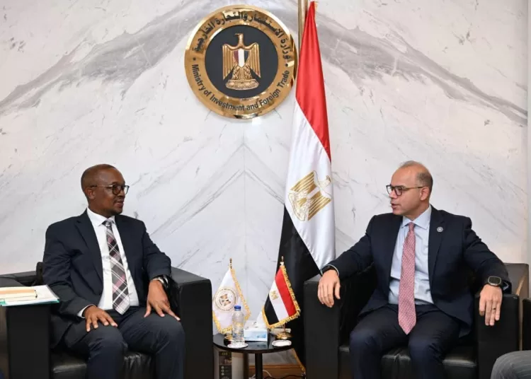 Egypt, S. Africa push for deeper African economic integration 12 - Egyptian Gazette