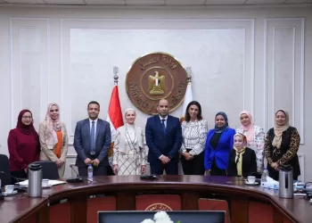 Egypt expands skills development in green economy, solar energy