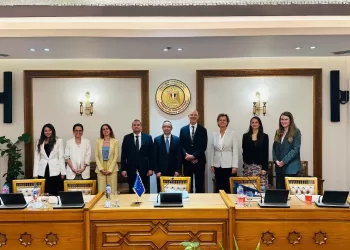 Egypt, EU discuss Security Council expansion, disarmament issues