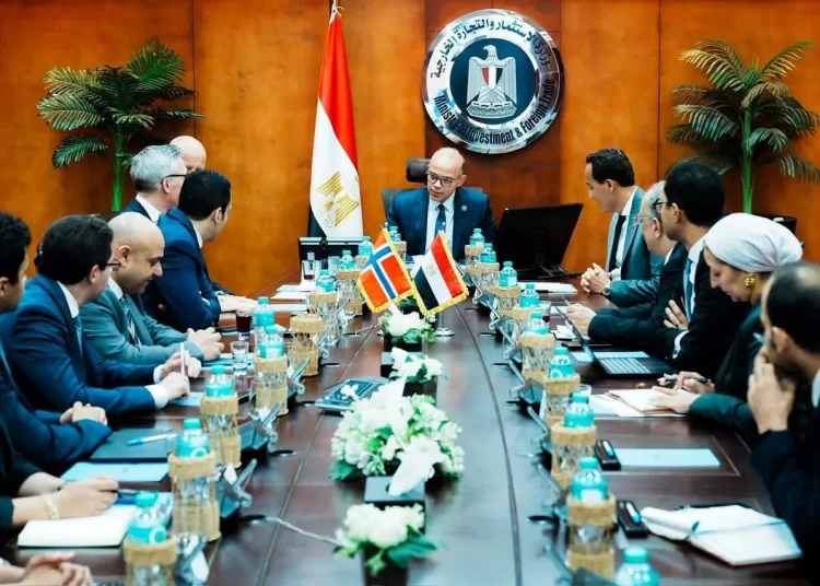 Scatec plans additional $5b investment in Egypt over next 2 years 11 - Egyptian Gazette