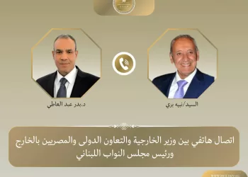 Cairo reiterates support for Lebanon’s sovereignty, unity, stability
