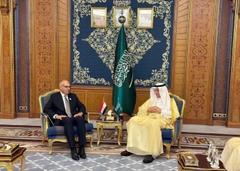 Cairo, Riyadh enhance water resources, irrigation links