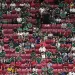 FIFA defends empty seats at Mexico tie 2 - Egyptian Gazette FIFA defends empty seats at Mexico tie