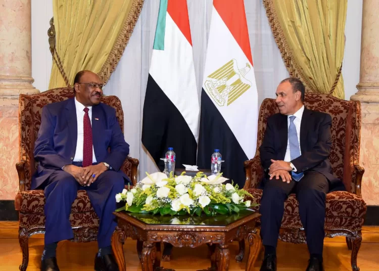 Egypt reaffirms support for Sudan’s unity, calls for humanitarian truce 13 - Egyptian Gazette Egypt reaffirms support for Sudan’s unity, calls for humanitarian truce 12 - Egyptian Gazette