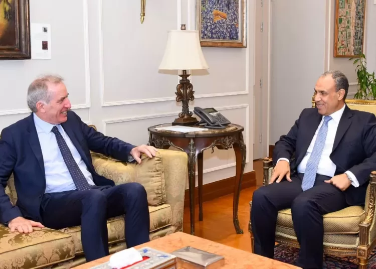 FM discusses Palestinian developments with EU Envoy 12 - Egyptian Gazette