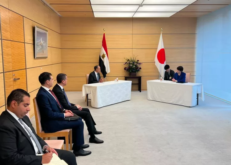 FM meets Japanese PM, delivers written message from President Sisi 12 - Egyptian Gazette