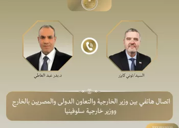 Egypt, Slovenia FMs discuss expanding cooperation