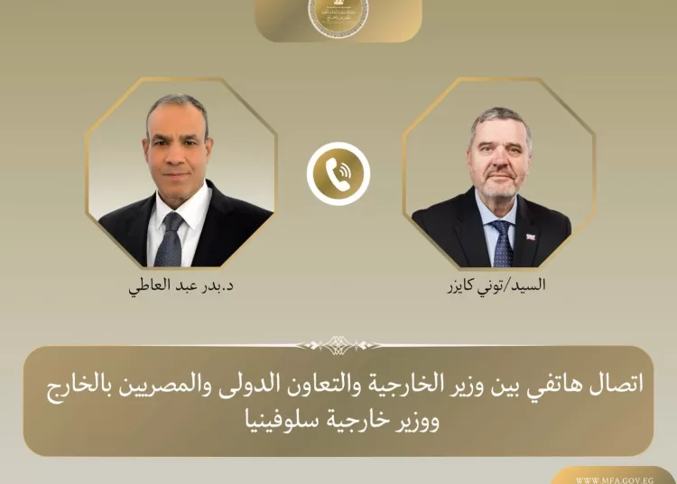 Egypt, Slovenia FMs discuss expanding cooperation 11 - Egyptian Gazette