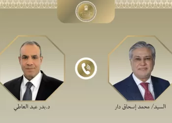 Egypt, Pakistan FMs discuss regional developments
