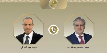Egypt, Pakistan FMs discuss regional developments