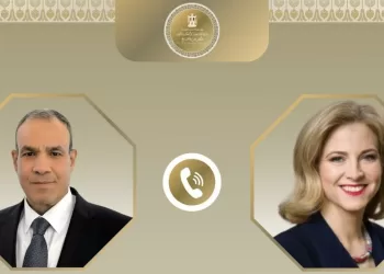 Cairo, Vienna seek deeper economic ties, closer political co-operation