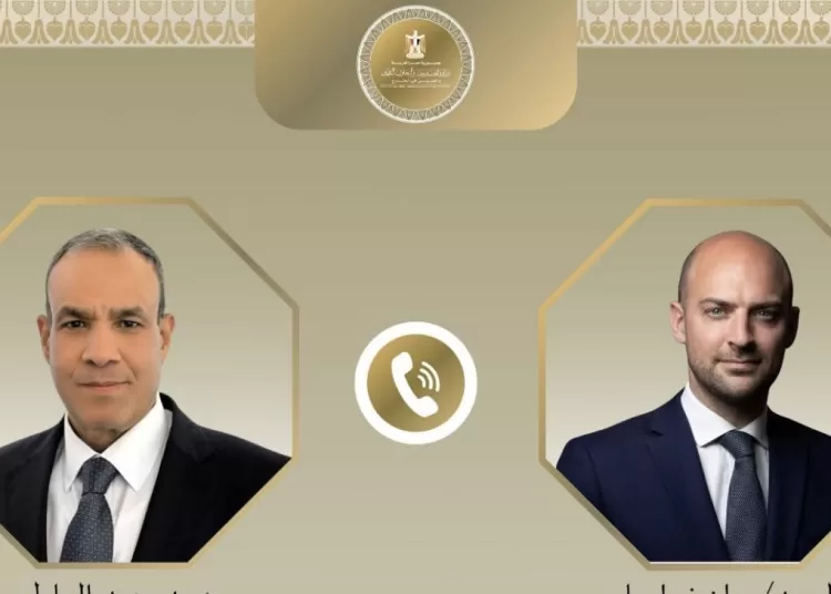 Egyptian, French FMs discuss bilateral relations, regional developments 12 - Egyptian Gazette