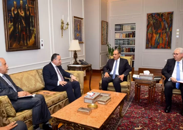 FM discusses expanding global academic partnerships 11 - Egyptian Gazette