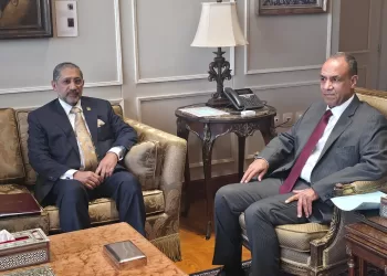 Egypt’s FM, BADEA chief probe stronger co-operation for Africa development