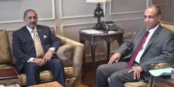 Egypt’s FM, BADEA chief probe stronger co-operation for Africa development