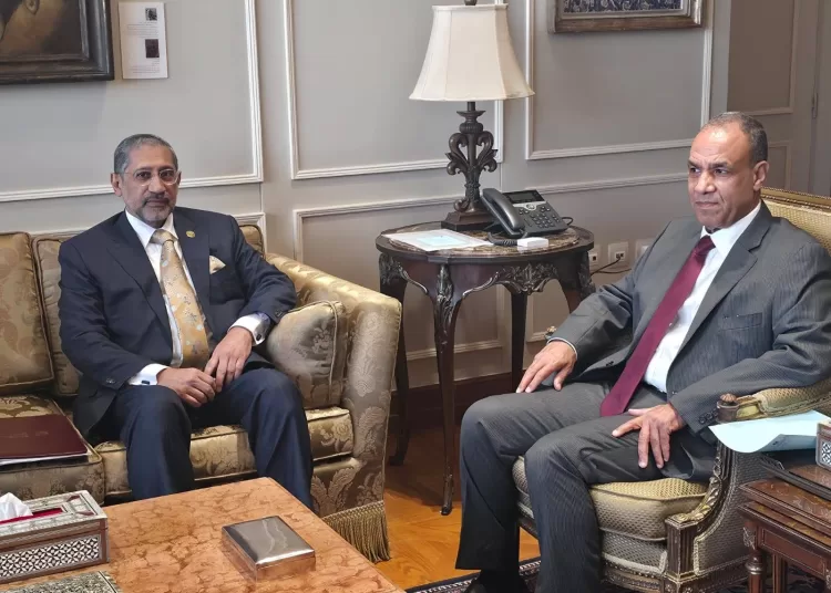 Egypt's FM, BADEA chief probe stronger co-operation for Africa development 12 - Egyptian Gazette