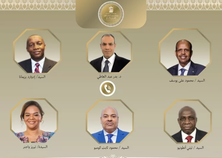 FM discusses strengthening continental cooperation with African leaders 10 - Egyptian Gazette FM discusses strengthening continental cooperation with African leaders 9 - Egyptian Gazette