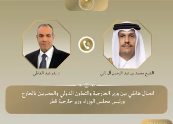 Egypt, Qatar FMs discuss regional developments 11 - Egyptian Gazette