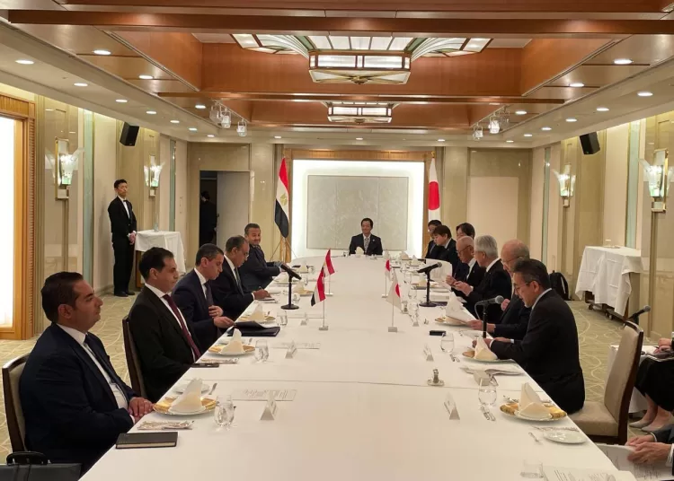 Egypt, Japan keen to enhance economic ties 12 - Egyptian Gazette