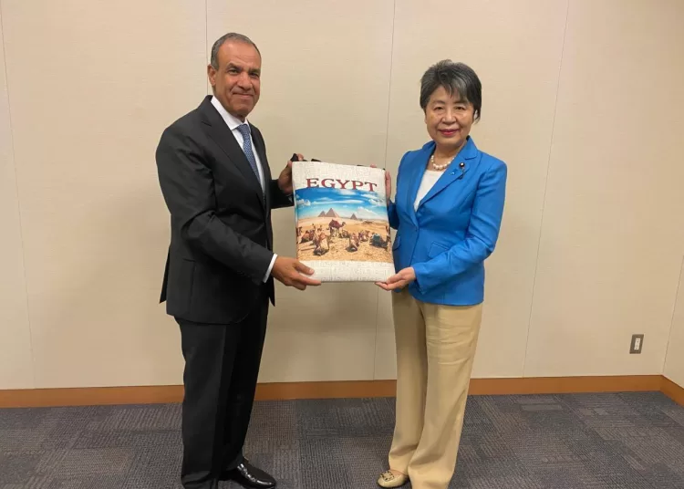 FM highlights water security, sustainable development co-operation during Tokyo meetings 13 - Egyptian Gazette FM highlights water security, sustainable development co-operation during Tokyo meetings 12 - Egyptian Gazette