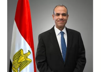 Egypt, Japan discuss regional, int’l developments