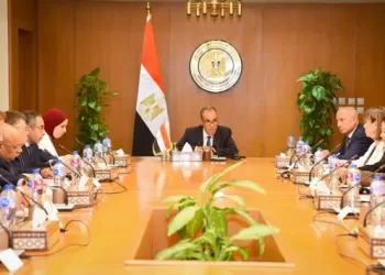 Egypt reviews reform agenda with int’l development partners