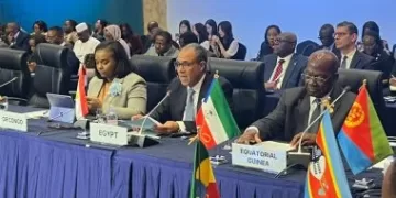 Egypt's FM promotes Korea-Africa co-operation for sustainable growth 1 - Egyptian Gazette Foreign Minister