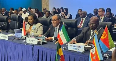 Egypt's FM promotes Korea-Africa co-operation for sustainable growth 12 - Egyptian Gazette Foreign Minister