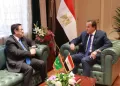Egypt, Mauritania seek to expand medical links