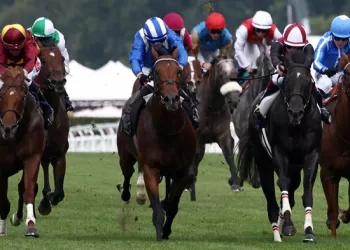 Almeraq wins Ascot thriller