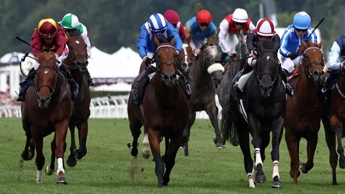 Almeraq wins Ascot thriller 10 - Egyptian Gazette Almeraq wins Ascot thriller 9 - Egyptian Gazette