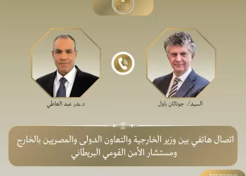 Egypt’s FM, UK security adviser discuss strategic ties, regional developments