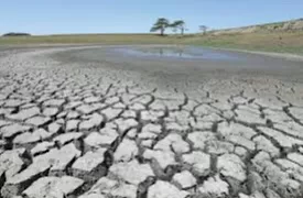UN seeks $202m to shield 8.8m people from El Niño