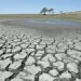 UN seeks $202m to shield 8.8m people from El Niño