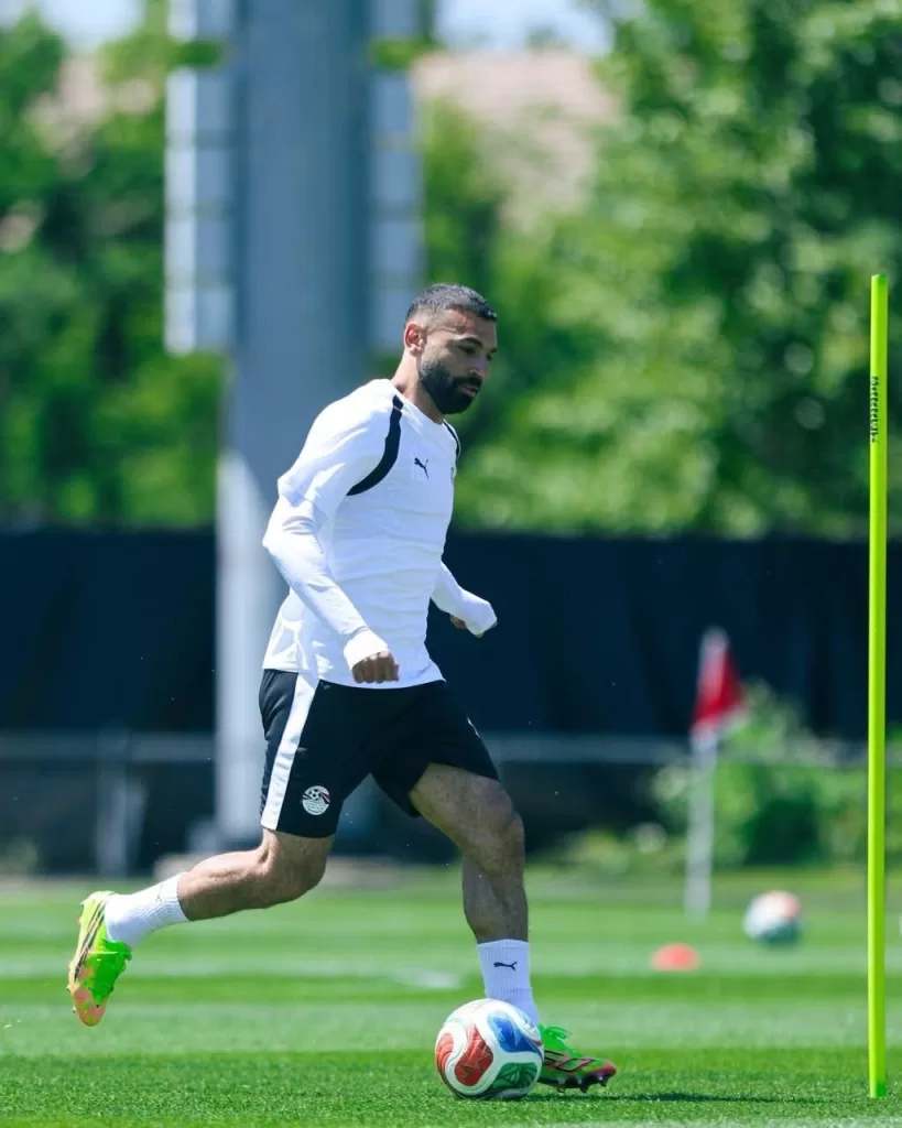 Pharaohs to face Belgium in World Cup opener 14 - Egyptian Gazette Pharaohs to face Belgium in World Cup opener 13 - Egyptian Gazette