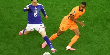 Japan battle back to draw 2-2 with Netherlands 1 - Egyptian Gazette Japan battle back to draw 2-2 with Netherlands
