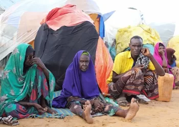 WFP: Middle East crisis pushes millions towards hunger