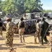 Nigeria frees 360 hostages from Boko Haram in Borno raid 2 - Egyptian Gazette Nigeria frees 360 hostages from Boko Haram in Borno raid