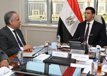Egypt, African business leaders probe stronger industrial partnerships