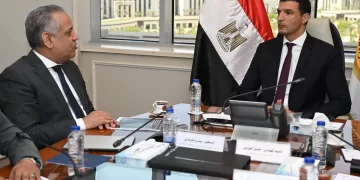 Egypt, African business leaders probe stronger industrial partnerships