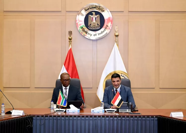 Cairo, Pretoria seek to boost industrial integration 12 - Egyptian Gazette